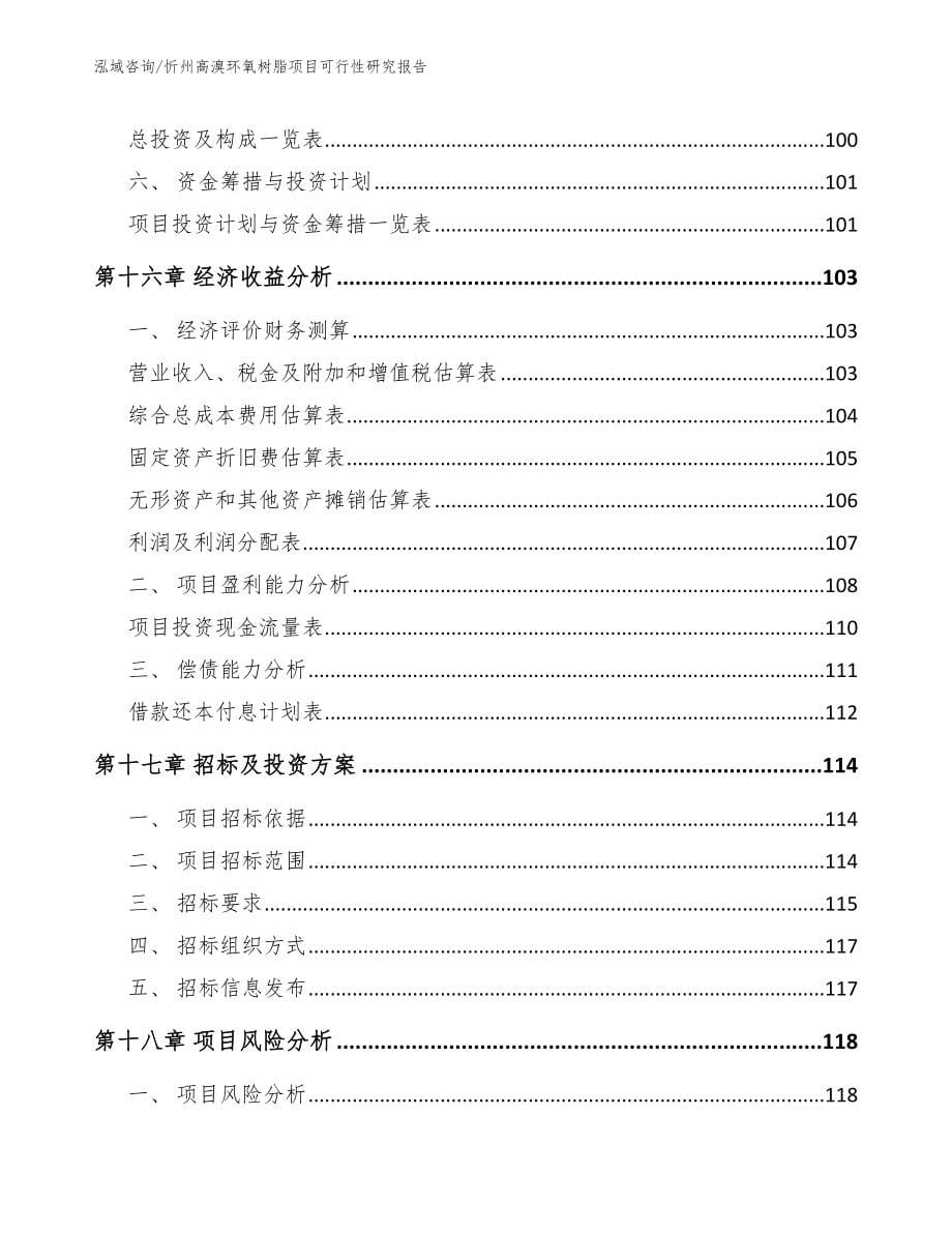 忻州高溴环氧树脂项目可行性研究报告【模板范本】_第5页