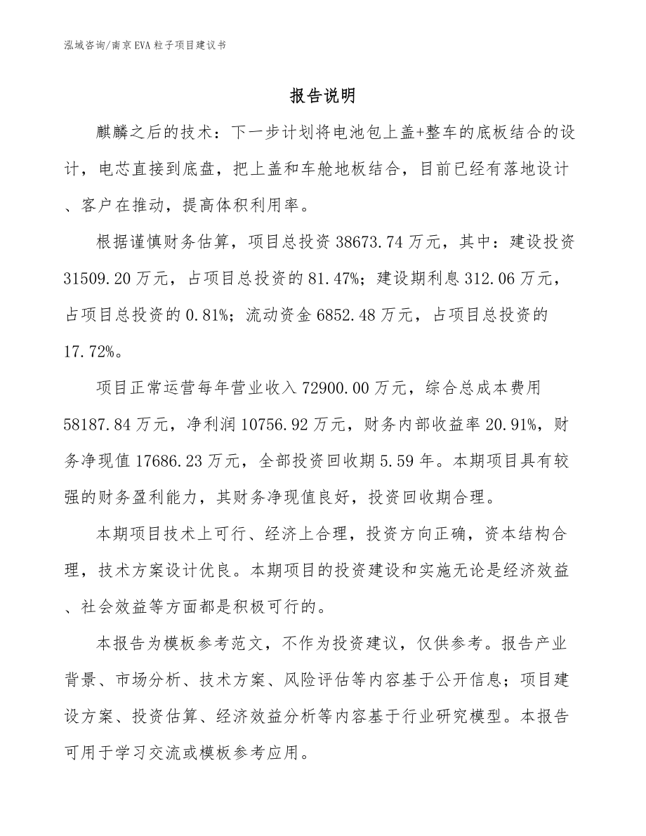 南京EVA粒子项目建议书模板范文_第2页