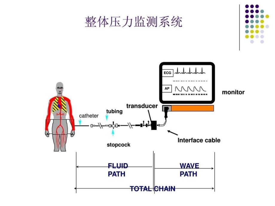 有创动脉压力监测.ppt_第3页