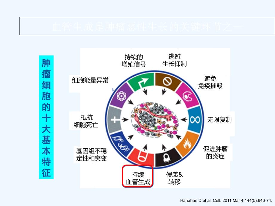 恩度联合放射治疗胸部肿瘤ppt课件_第4页