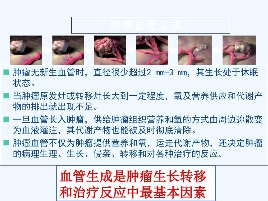 恩度联合放射治疗胸部肿瘤ppt课件_第5页