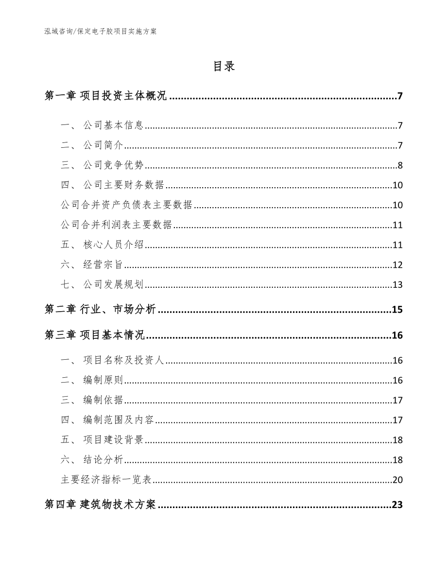 保定电子胶项目实施方案（模板参考）_第1页