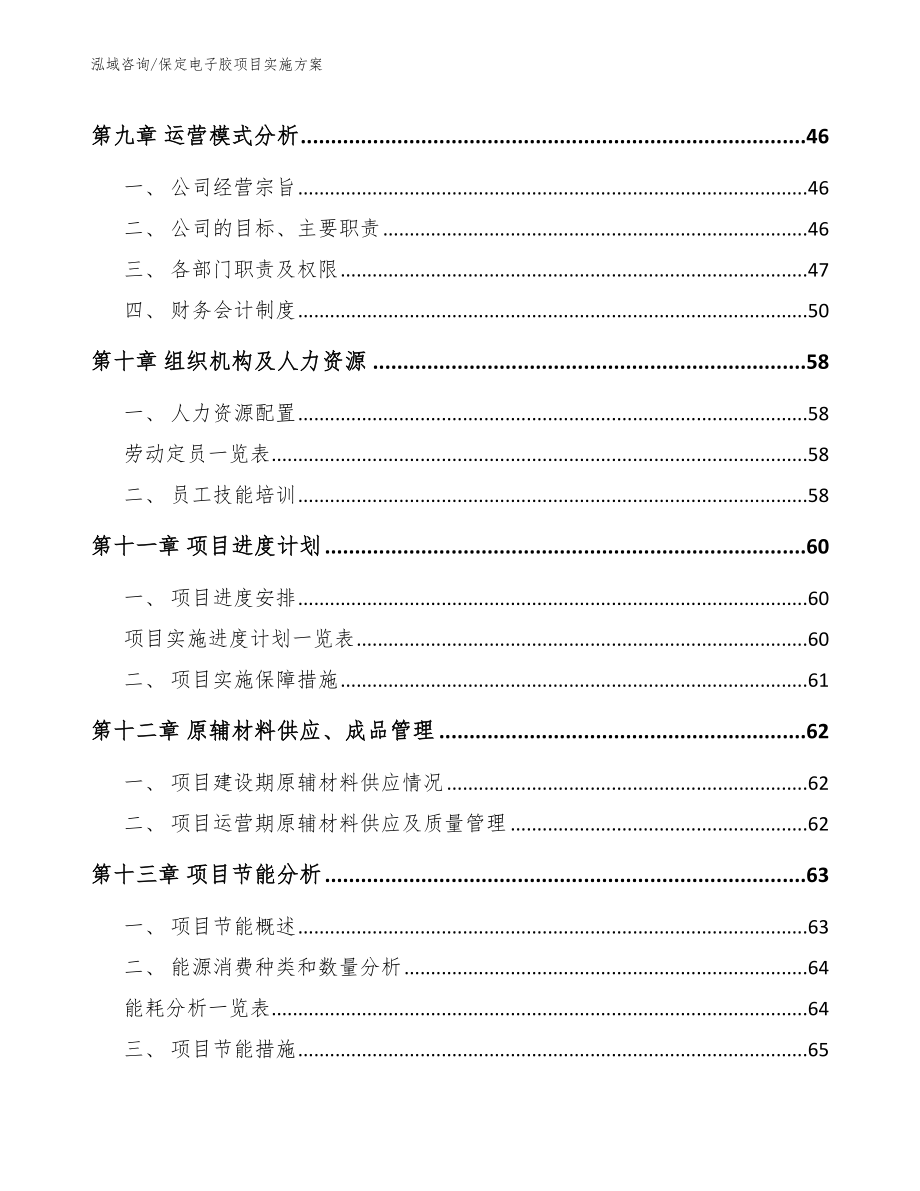 保定电子胶项目实施方案（模板参考）_第3页