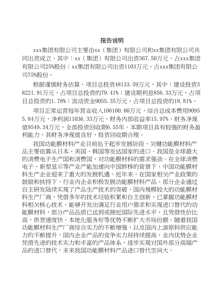 合肥关于成立功能膜材料公司可行性报告(DOC 93页)_第2页