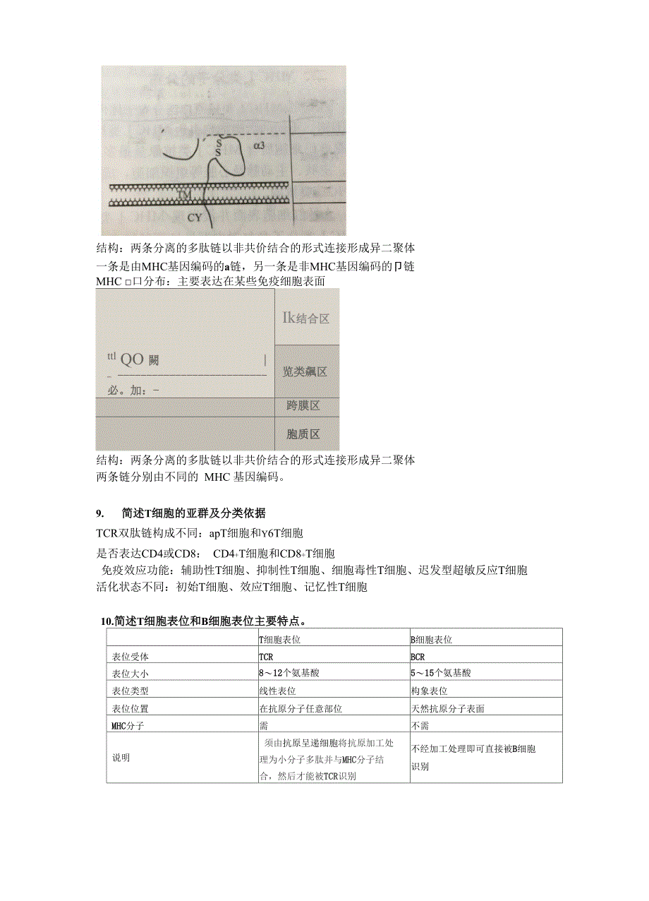 免疫学复习提纲_第4页