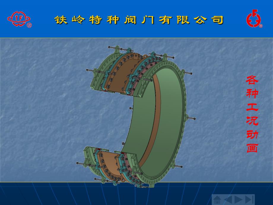 大挠度伸缩节特阀_第3页