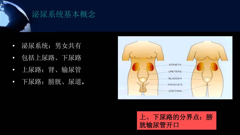 医学专题：单纯性尿路感染_第1页