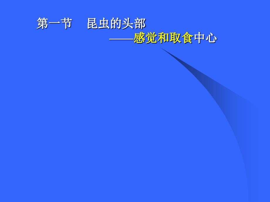 第一章昆虫的外部形态森_第4页