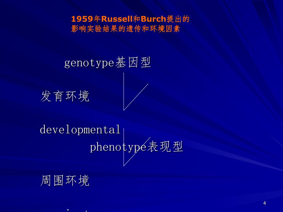 3.实验动物环境与设施课堂PPT_第4页