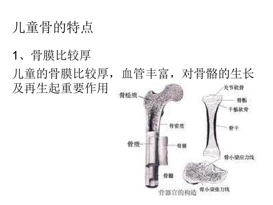 儿童骨的特点和骨折特点及预防PPT课件_第2页