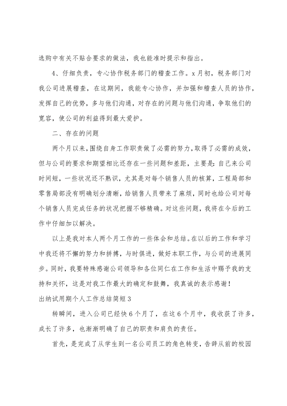 出纳试用期个人工作总结简短.docx_第4页