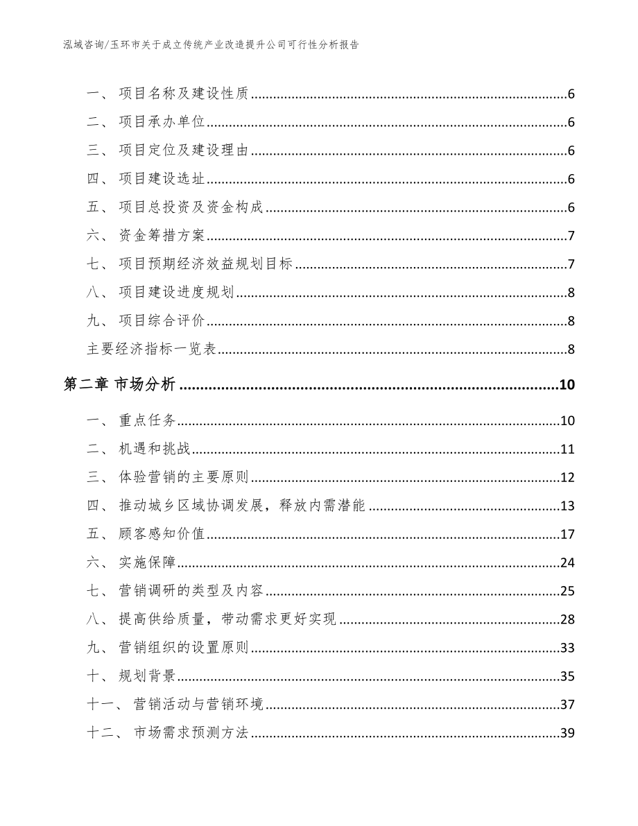 玉环市关于成立传统产业改造提升公司可行性分析报告_第2页