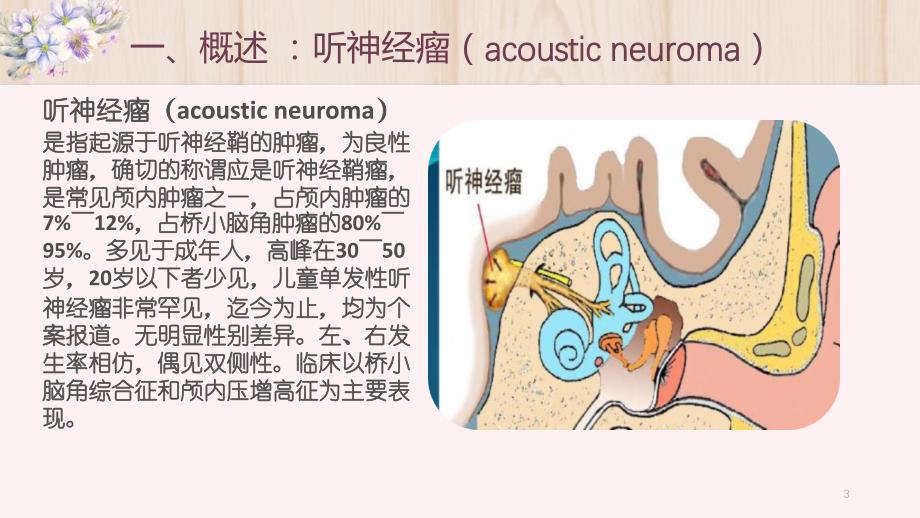 优质课件听神经瘤的护理查房_第3页