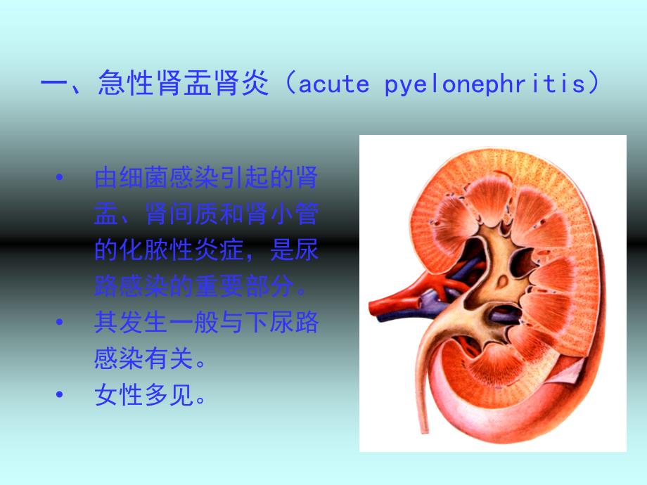 肾盂肾炎.肿瘤PPT课件_第3页