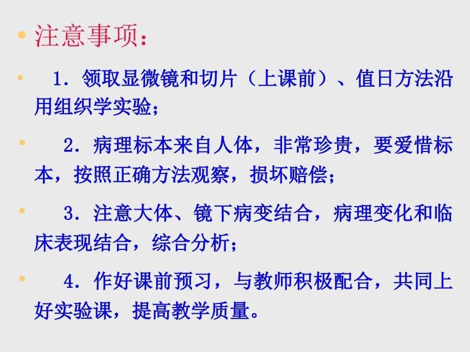 细胞组织的适应损伤与修复实验一文档资料_第5页