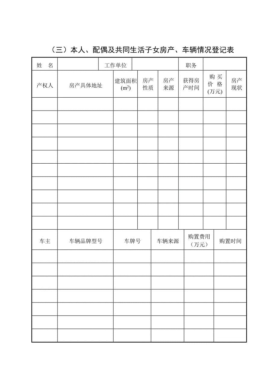 干部个人廉洁档案样表_第5页