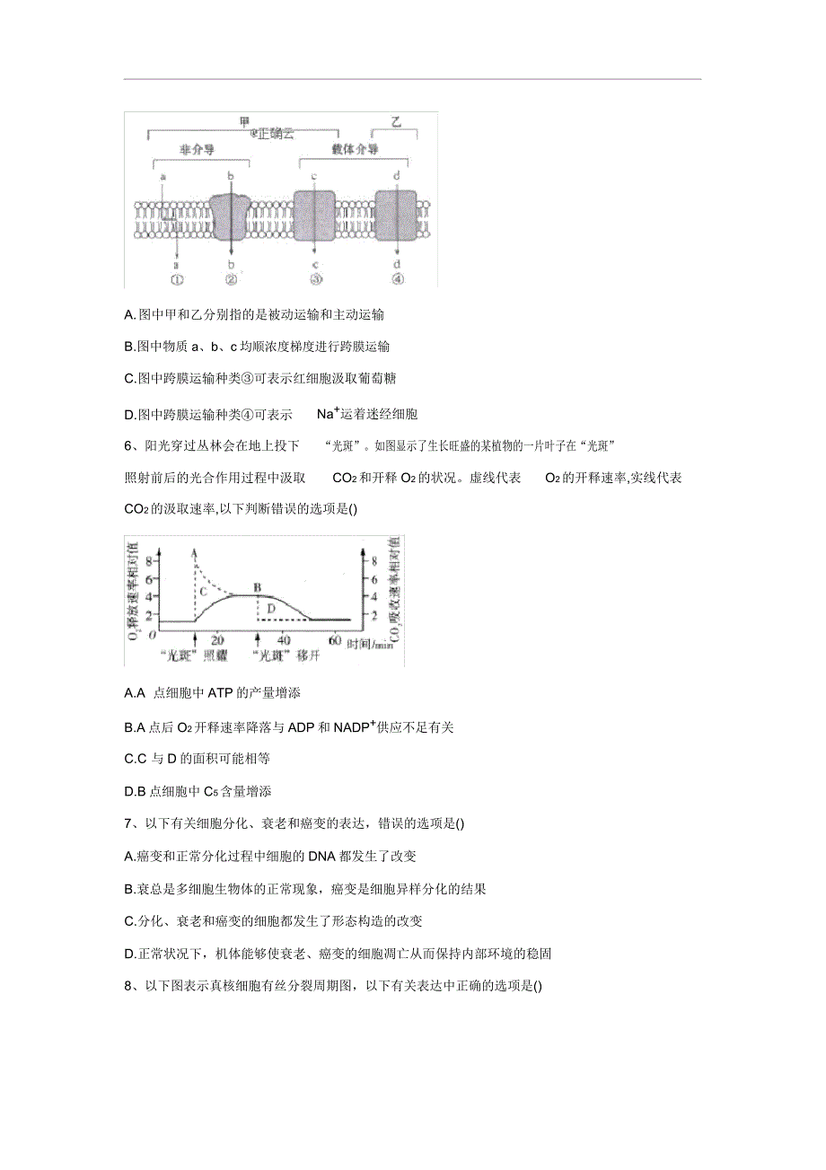 2020届新高考生物模拟仿真卷1.doc_第2页