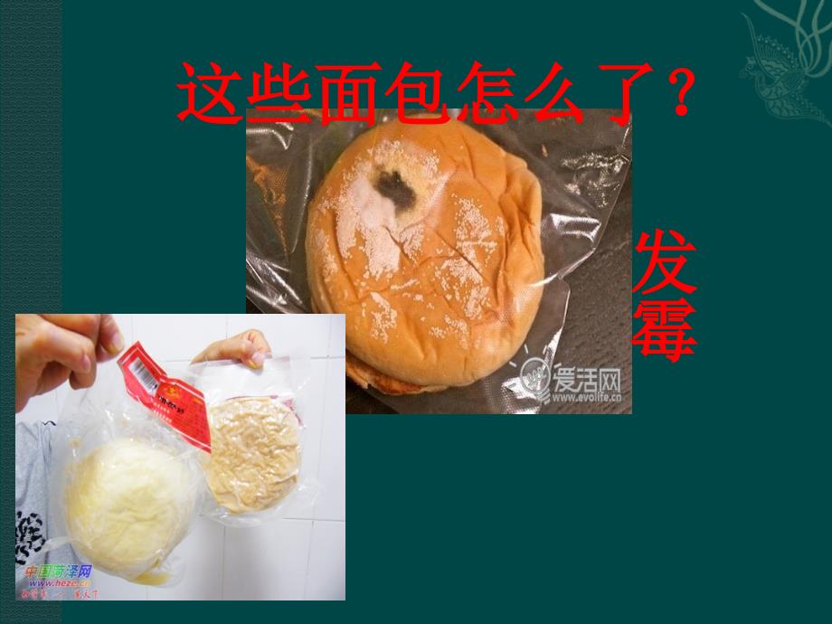 幼儿园课件食品安全_第2页