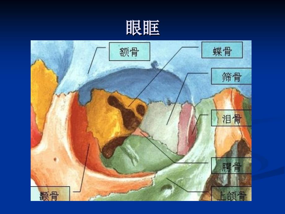 眼外肌解剖作用机理及同视机临床应用_第3页