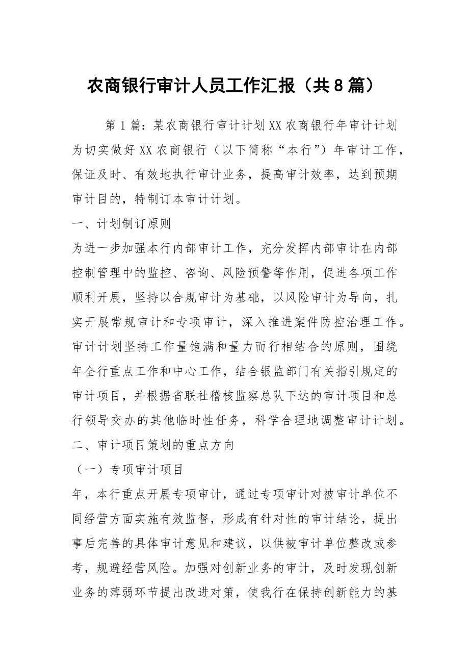 农商银行审计人员工作汇报（共8篇）