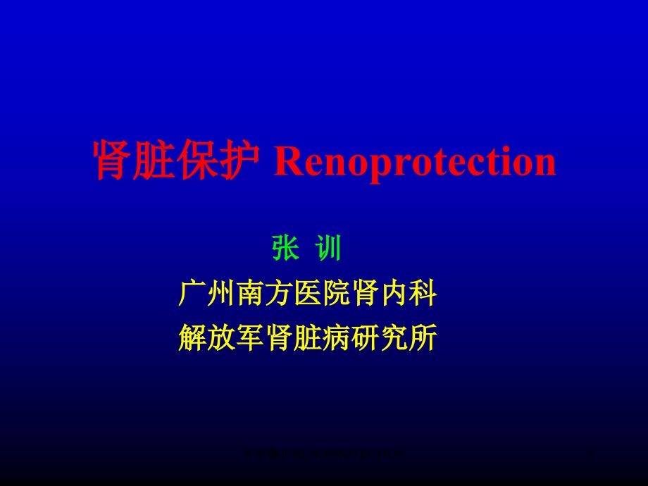 肾脏保护RENOPROTECTION课件_第1页