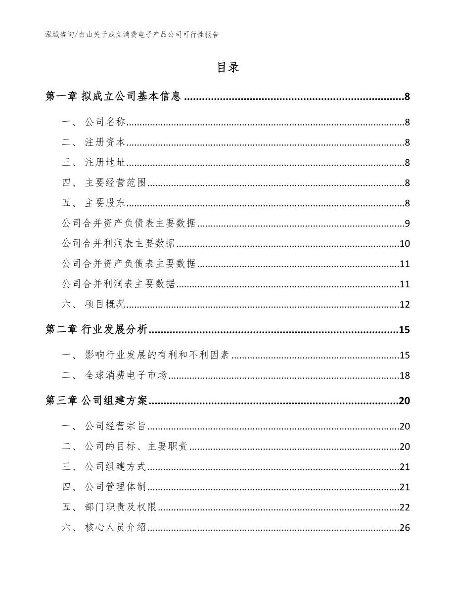 白山关于成立消费电子产品公司可行性报告模板范本_第2页