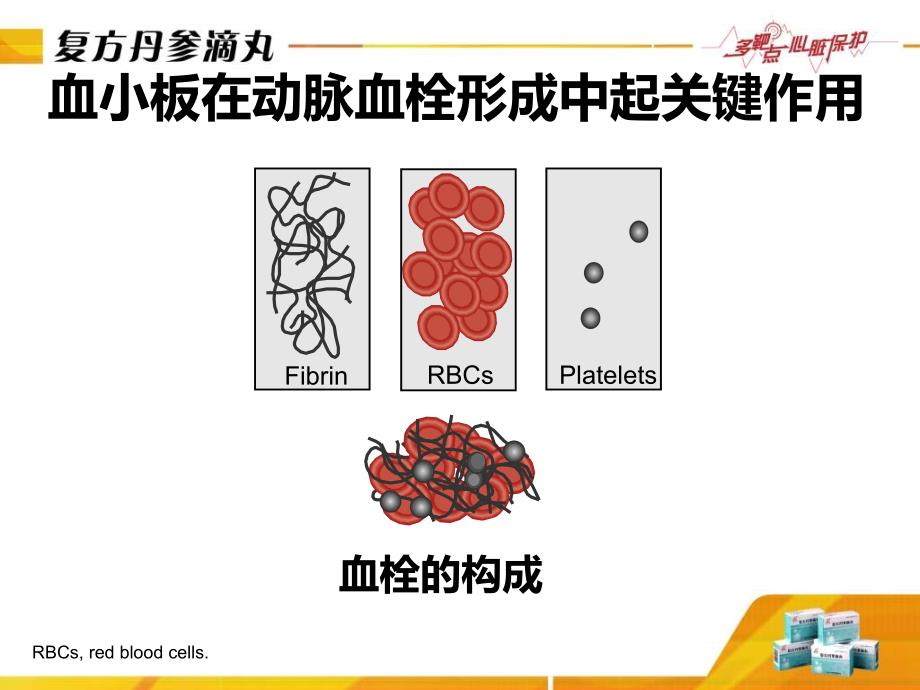 复方丹参滴丸抑制血小板活化作用天津市胸科医院孙根义_第3页