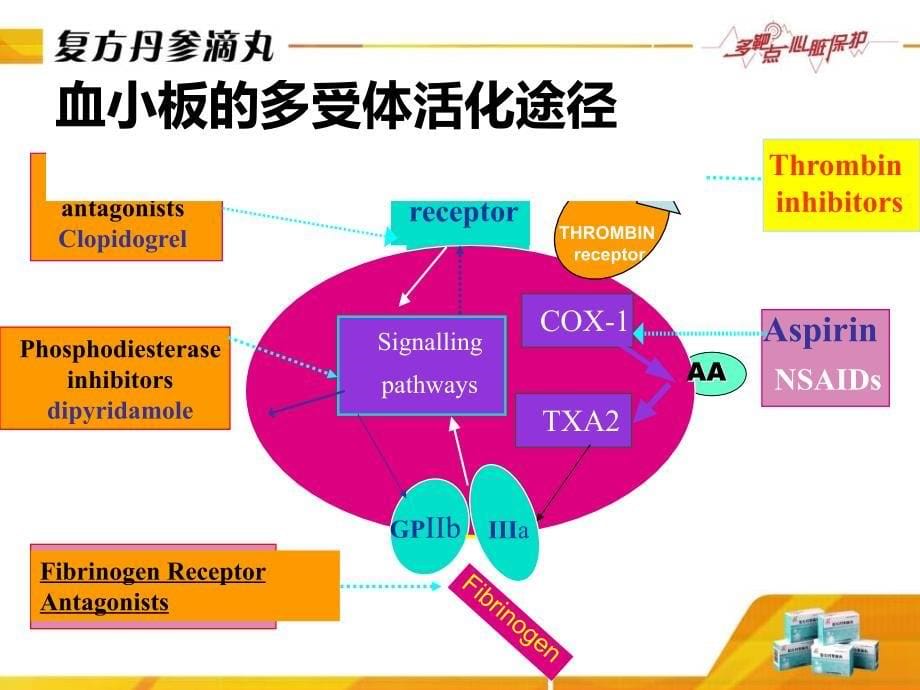 复方丹参滴丸抑制血小板活化作用天津市胸科医院孙根义_第5页