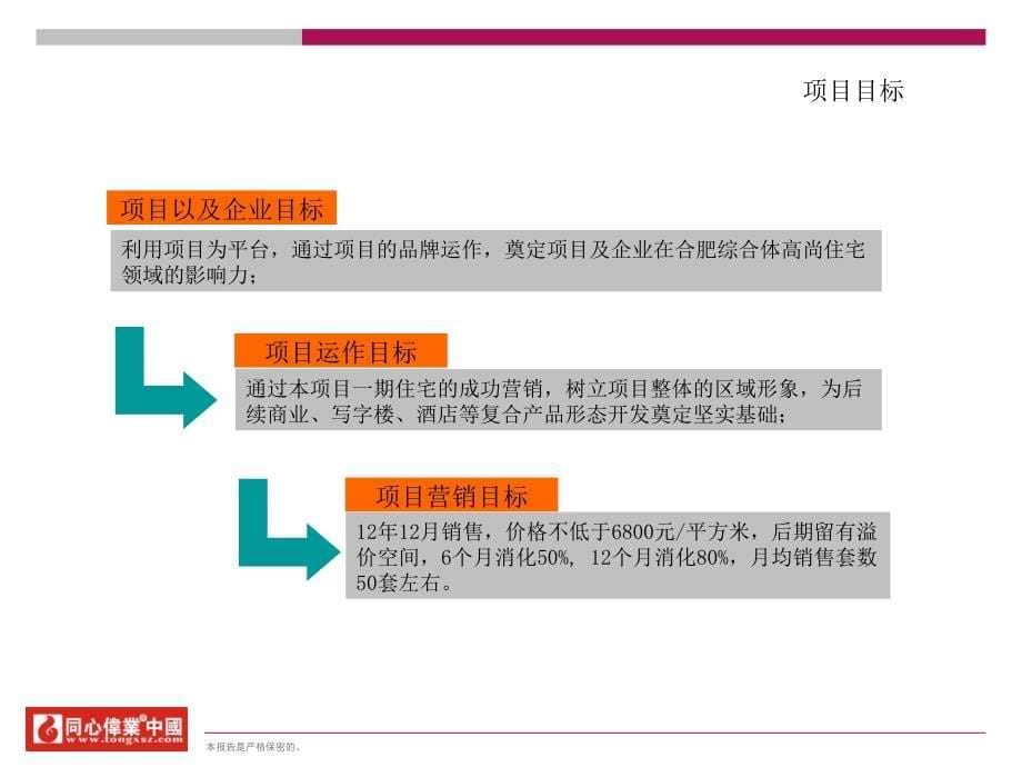 假日广场项目营销战略与策略提报案_第5页