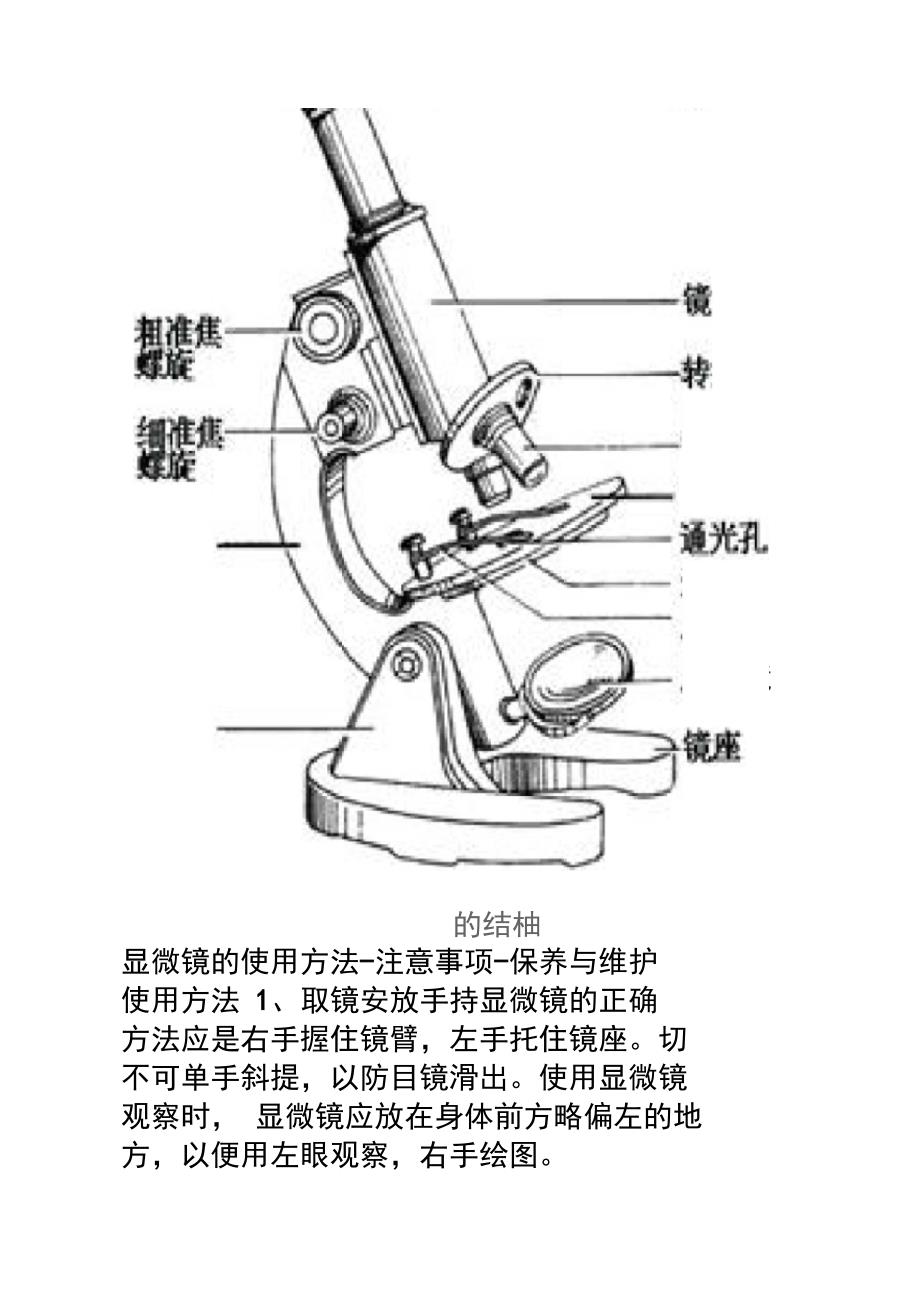 显微镜的使用方法_第2页