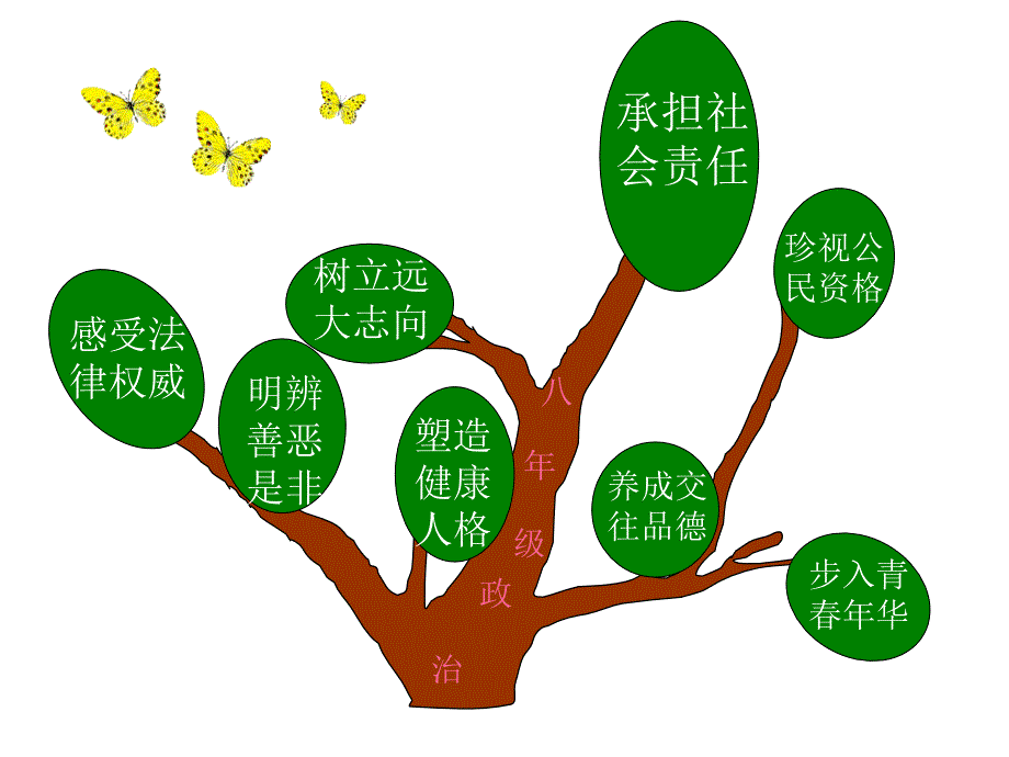 八年级政治下册知识结构图_第1页