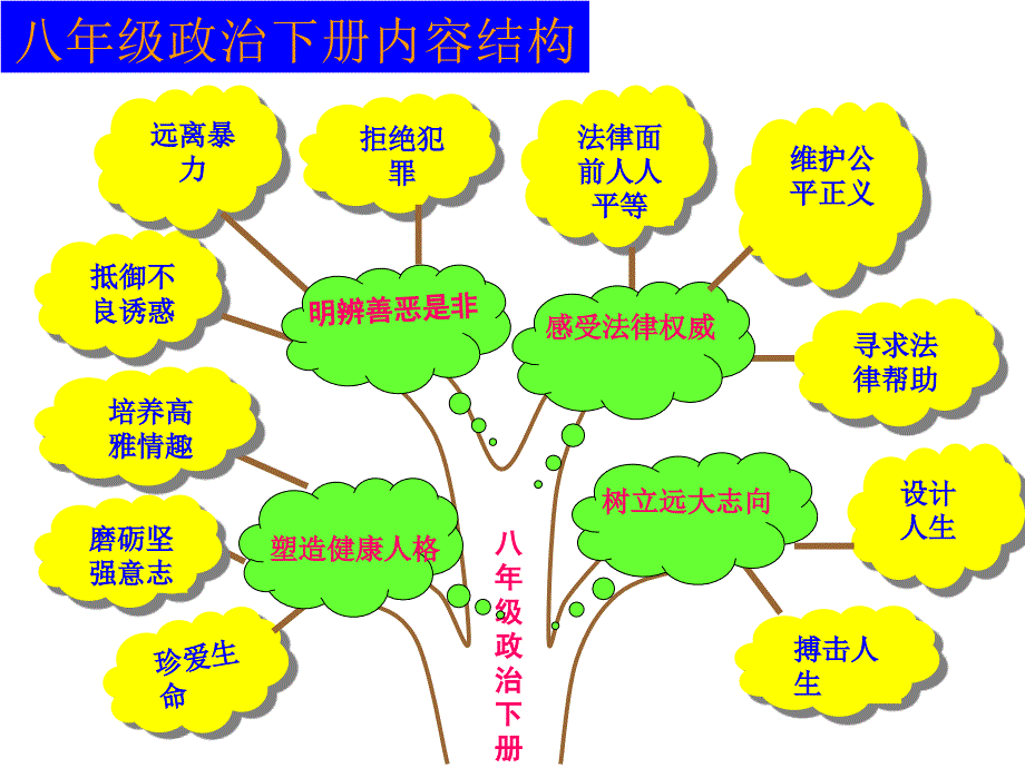 八年级政治下册知识结构图_第2页