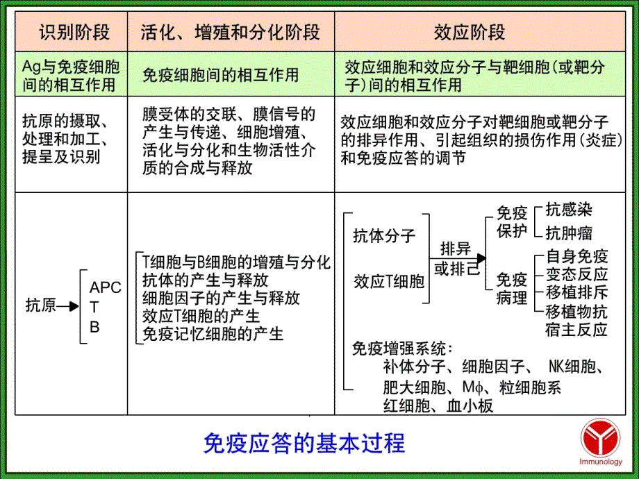 医学免疫学：第十二章 T细胞介导的免疫应答_第5页