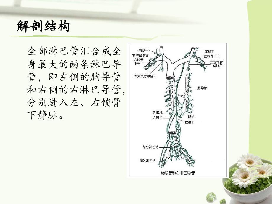 甲状腺术后乳糜漏的护理_第3页