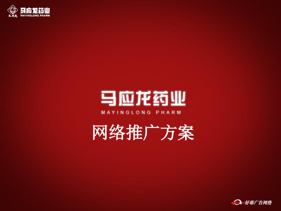 马应龙药业网络推广方案课件_第1页