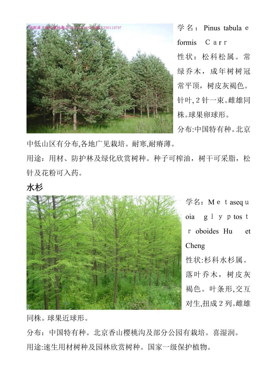 北方园林常见植物(一)_第4页