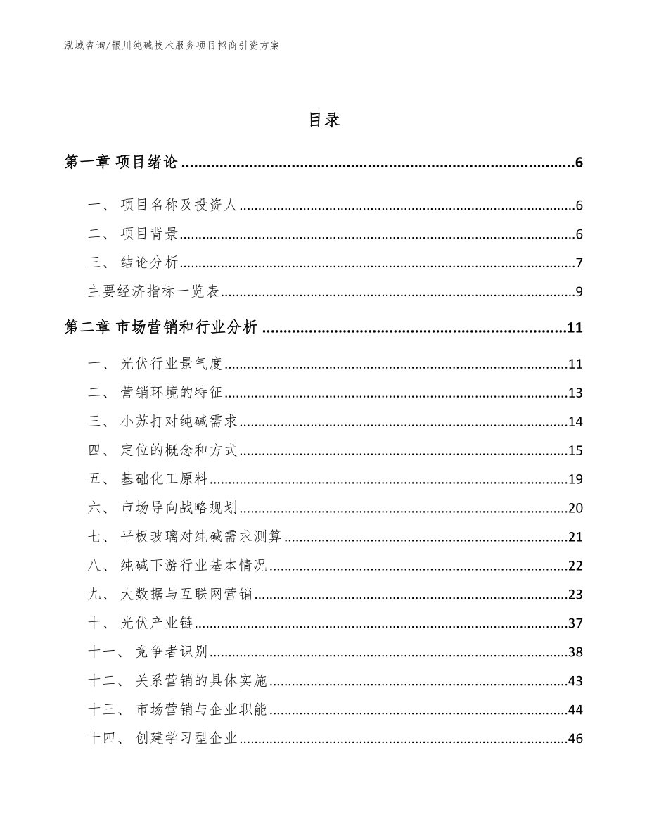 银川纯碱技术服务项目招商引资方案_第2页