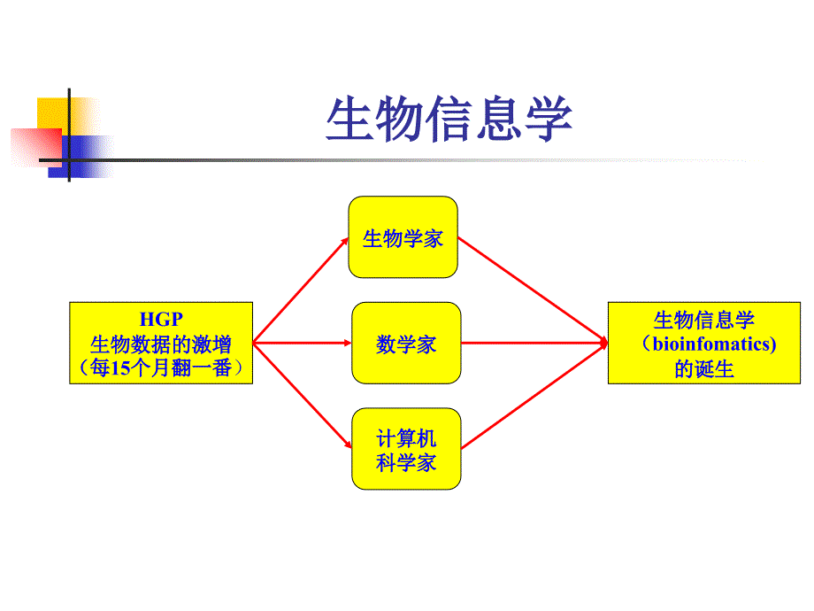 生物信息学及其发展历史课件_第4页