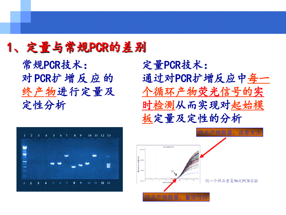 RealtimePCR原理及其定量方法_第3页