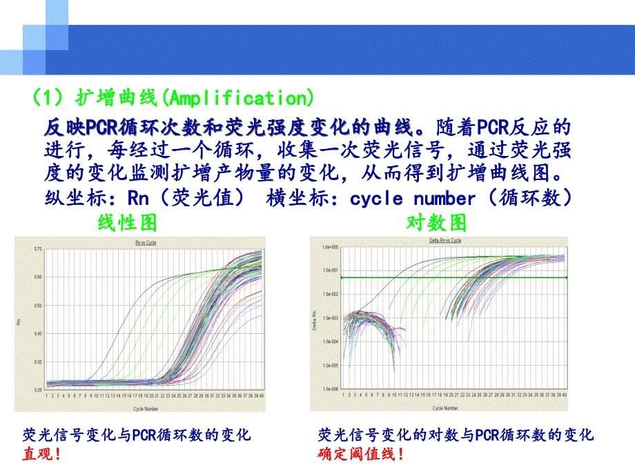 RealtimePCR原理及其定量方法_第5页