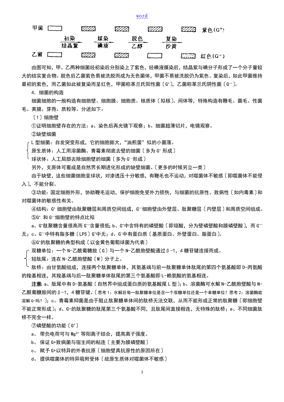 生物竞赛辅导——微生物学知识梳理_第4页