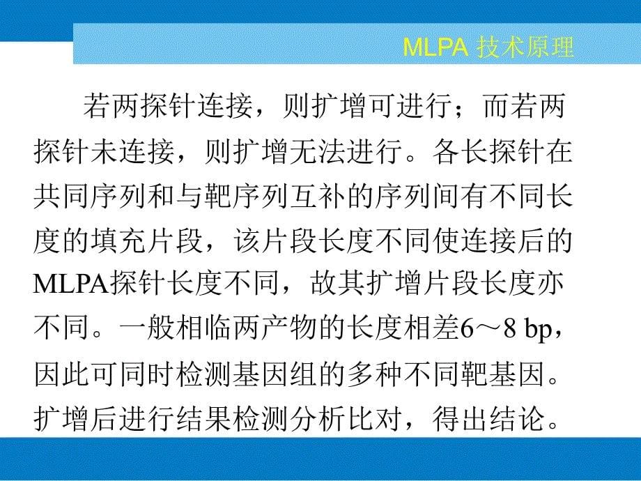 MLPA技术原理2解读课件_第5页