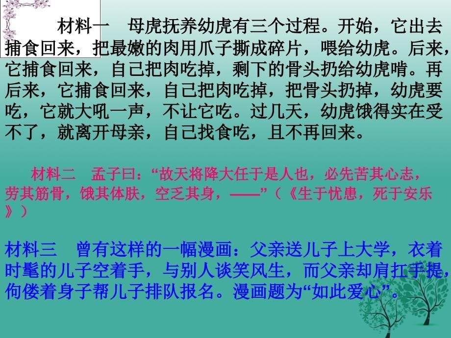 中考语文专题复习（十五）综合性学习课件_第5页