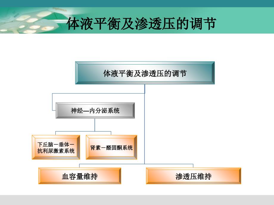 酸碱平衡护理PPT课件_第2页