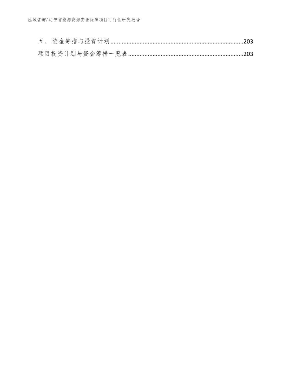 辽宁省能源资源安全保障项目可行性研究报告参考范文_第5页