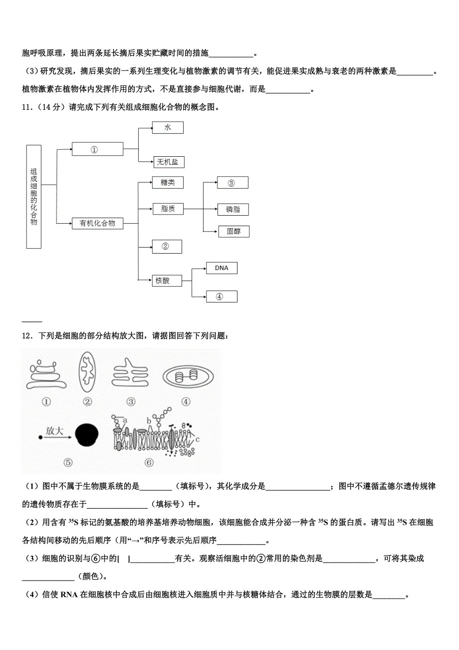 安徽省合肥市庐阳区第六中学2023年生物高二下期末达标检测试题（含解析）.doc_第4页