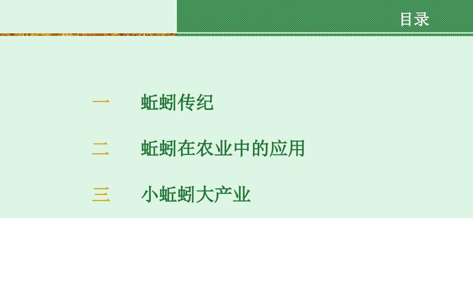 蚯蚓在农业中的应用PPT课件_第2页