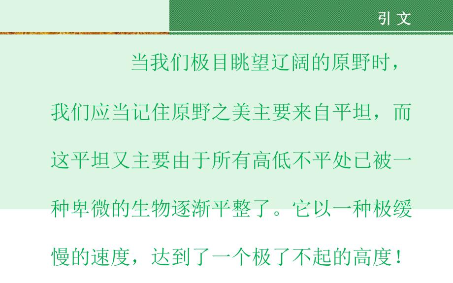 蚯蚓在农业中的应用PPT课件_第3页