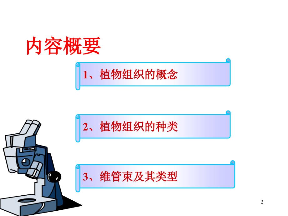 药用植物学：第二章 植物的组织_第2页