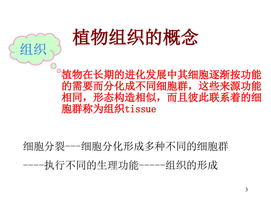 药用植物学：第二章 植物的组织_第3页